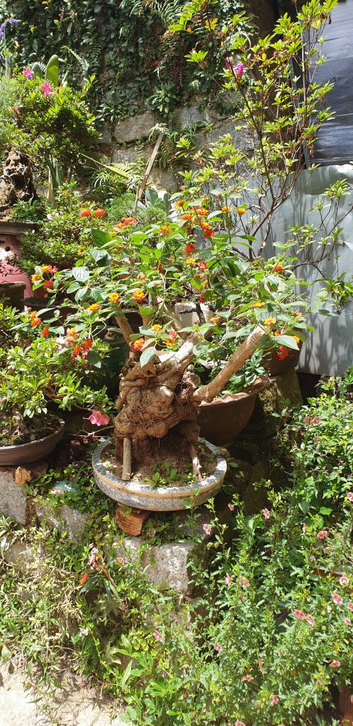 Thi công ngoại thất gần gũi với thiên nhiên