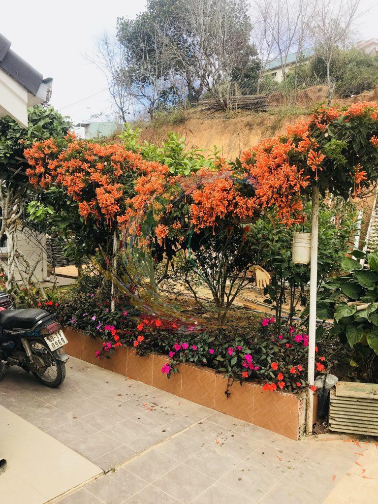 Thi công ngoại thất gần gũi với thiên nhiên